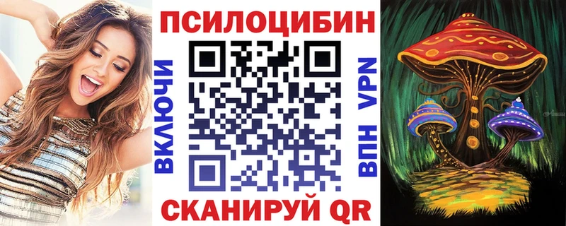 маркетплейс Telegram  Биробиджан  Псилоцибиновые грибы Psilocybine cubensis  закладки 